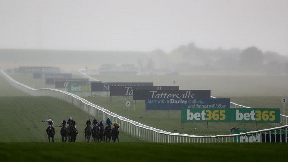 Newmarket races
